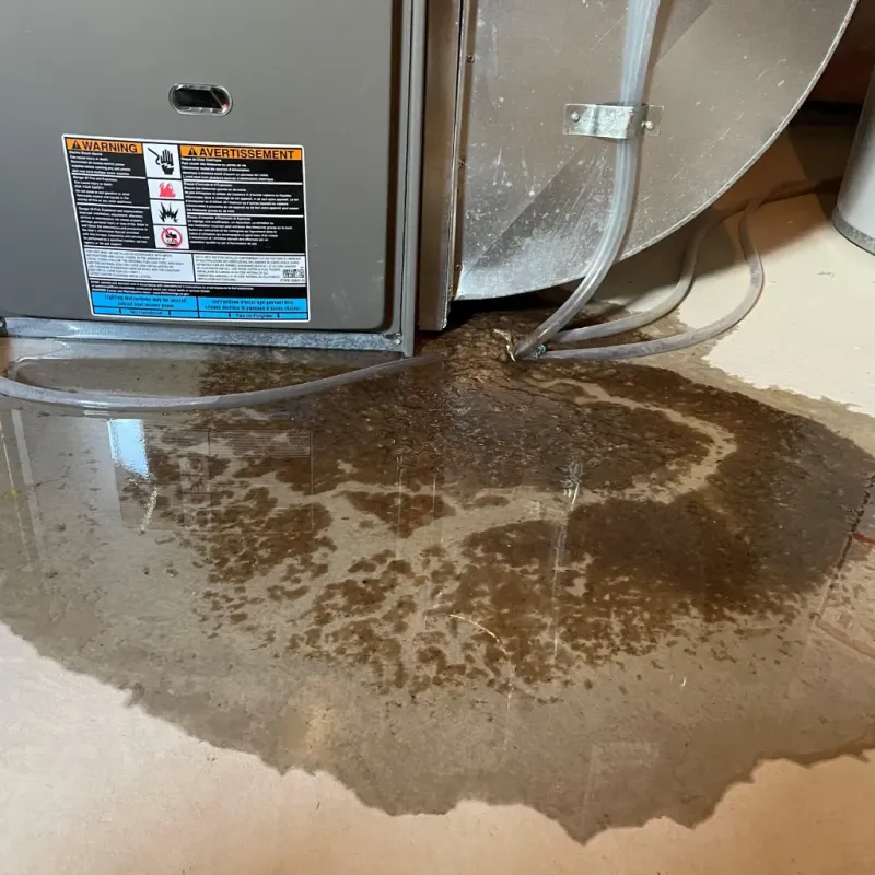 Appliance Leak Cleanup in Elberta, AL